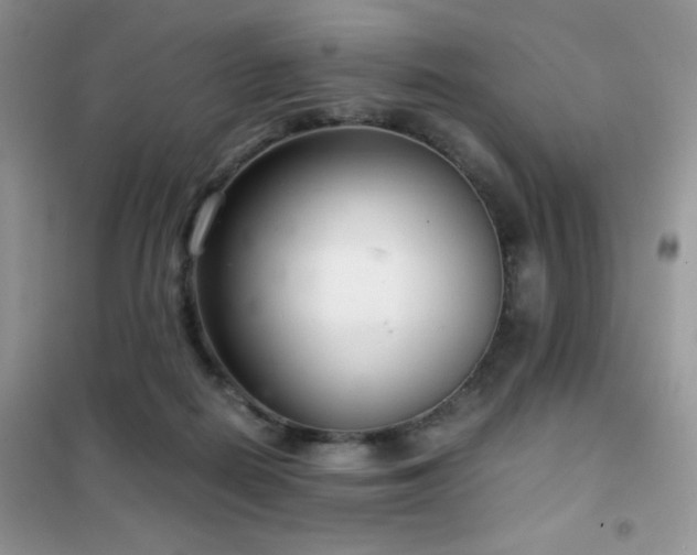 X0000102340266200808011147