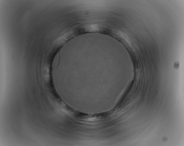 X0000102340267200808011147