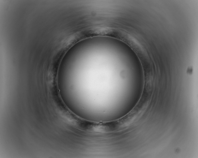 X0000102340268200808011147