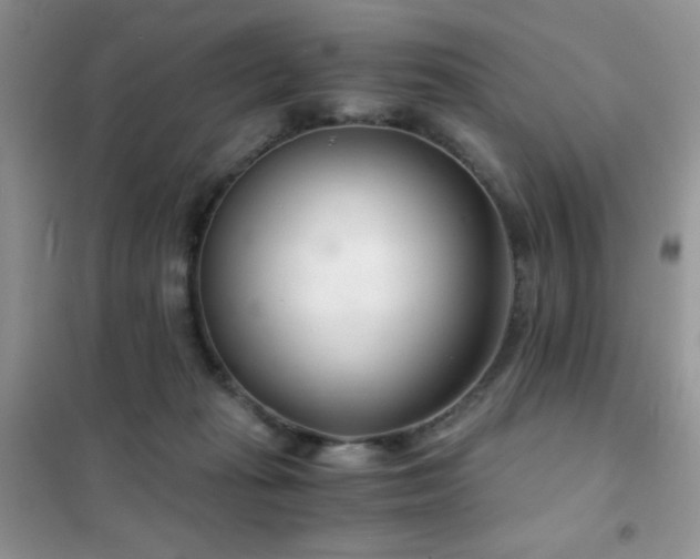 X0000102340269200808011147