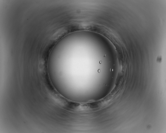 X0000102340270200808011147