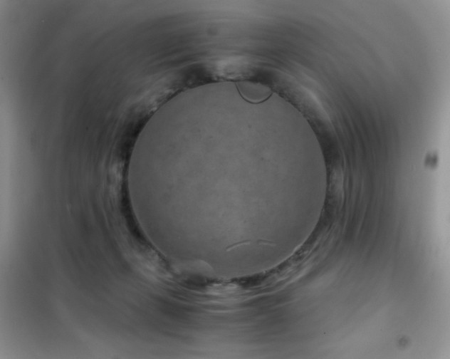 X0000102340271200808011147