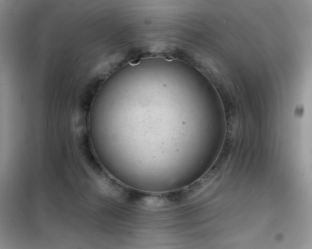 X0000102340272200808011147