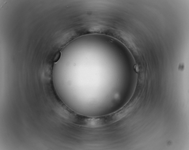 X0000102340273200808011147