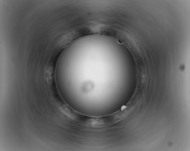 X0000102340275200808011147