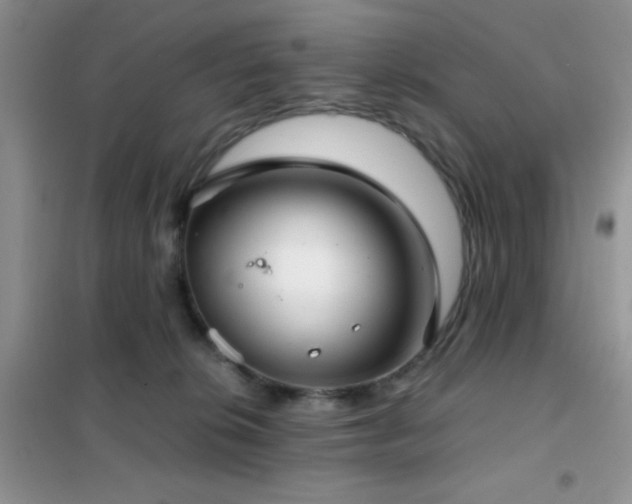 X0000102340276200808011147