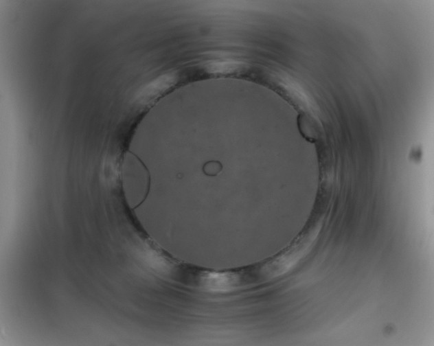 X0000102340277200808011148