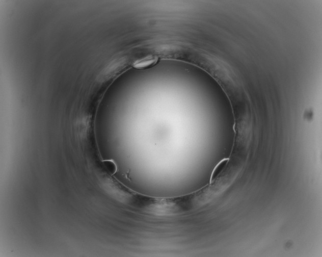 X0000102340278200808011148