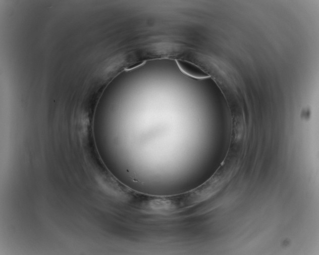 X0000102340279200808011148