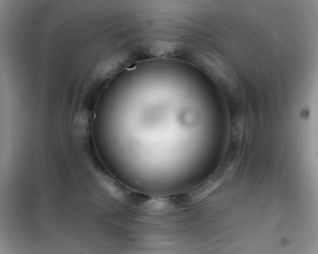 X0000102340280200808011148