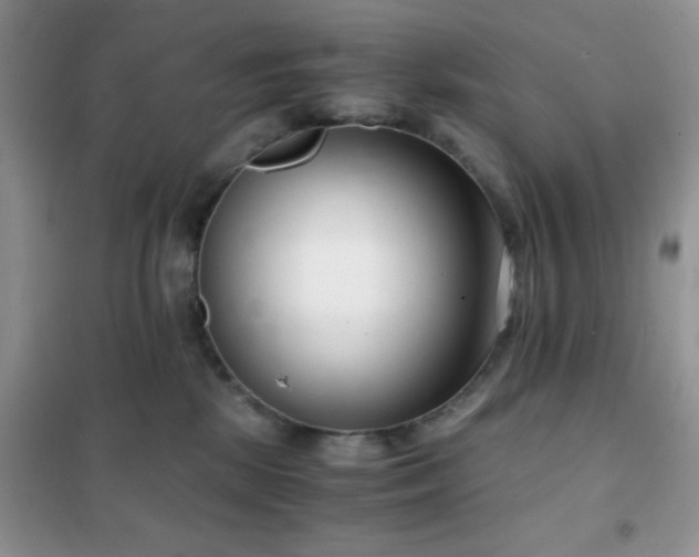 X0000102340281200808011148