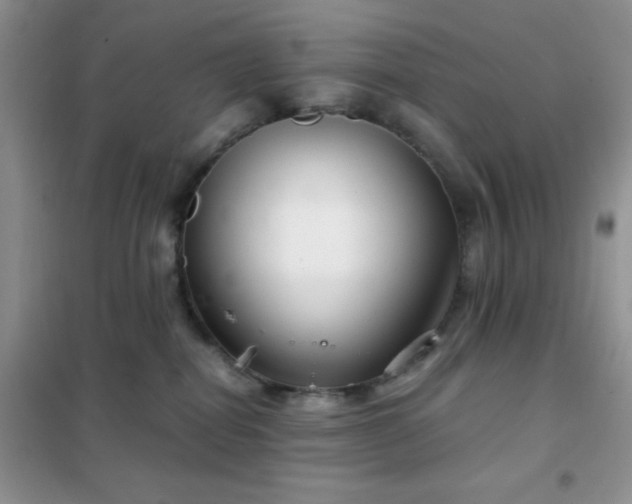 X0000102340282200808011148