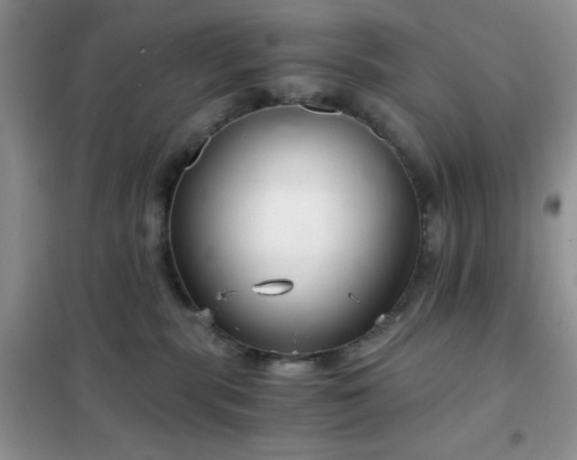 X0000102340283200808011148