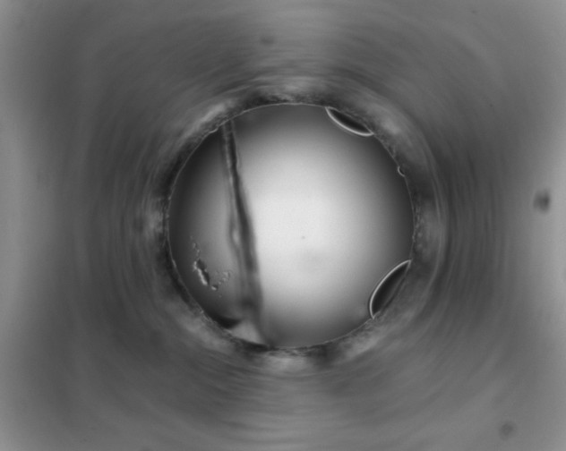 X0000102340284200808011148