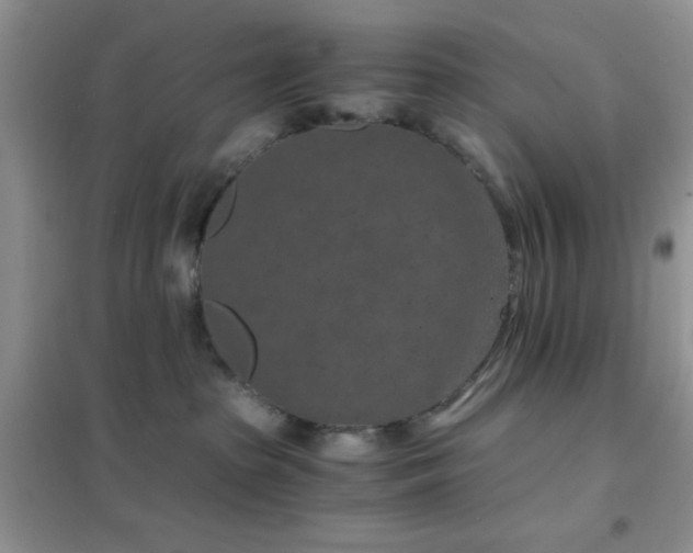 X0000102340285200808011148