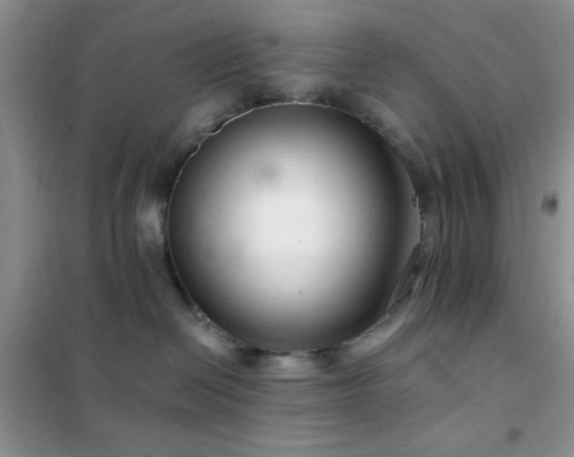 X0000102340286200808011148