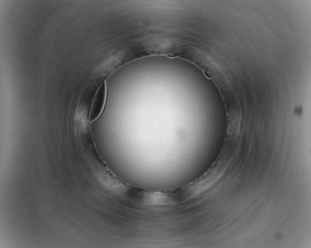 X0000102340287200808011148