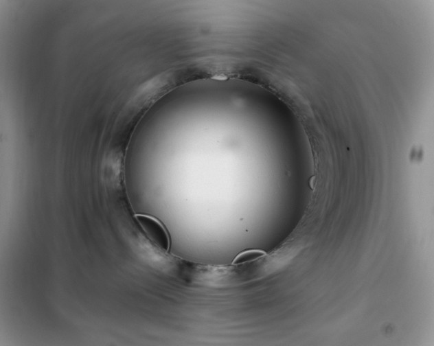 X0000102340288200808011148