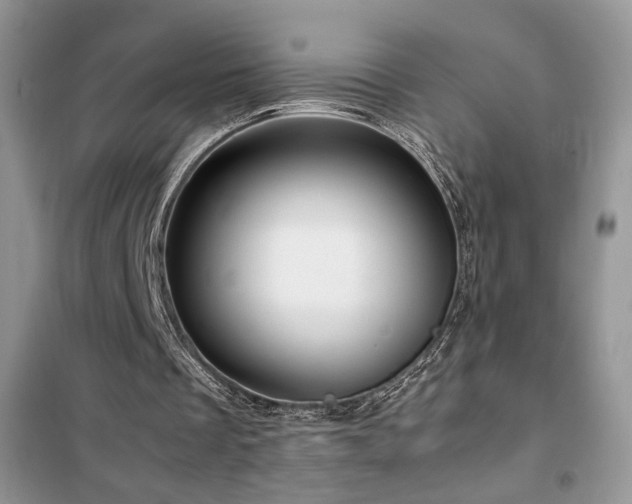 X0000102340289200808011147