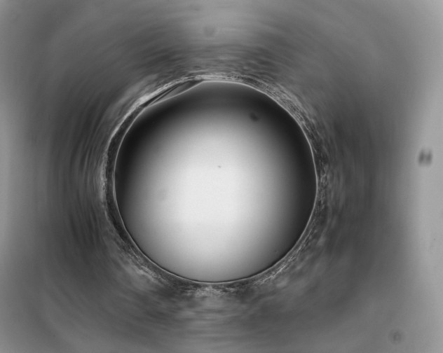 X0000102340290200808011147