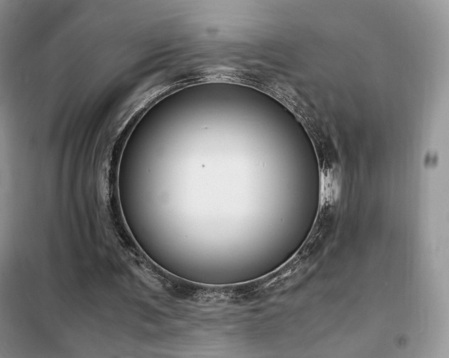 X0000102340291200808011147