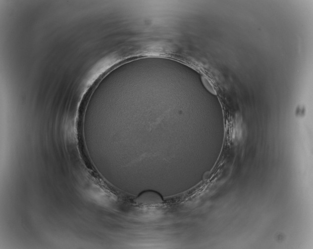 X0000102340292200808011147