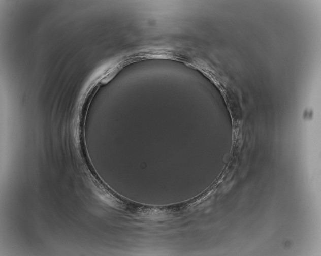 X0000102340293200808011147