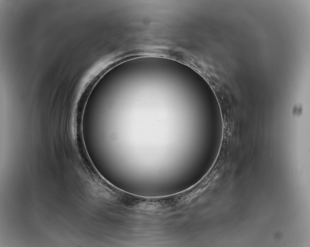 X0000102340294200808011147