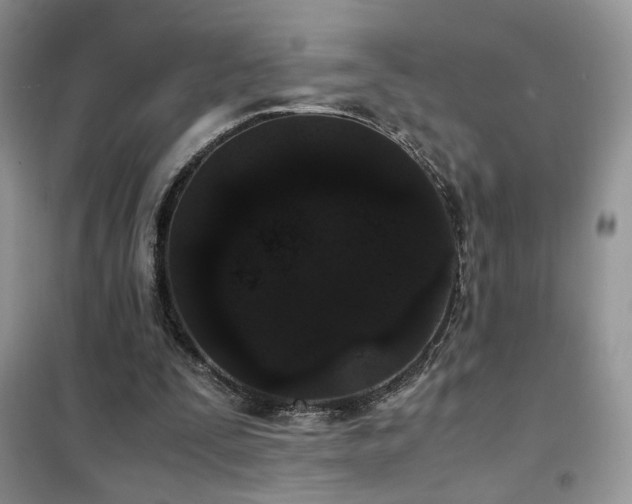 X0000102340295200808011147