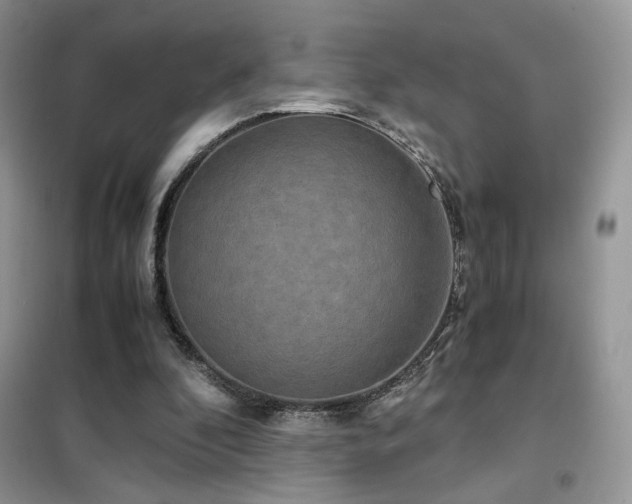 X0000102340296200808011147