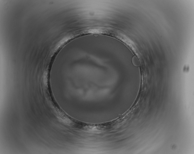 X0000102340297200808011147