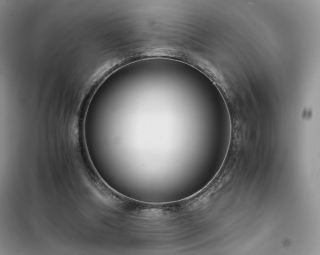 X0000102340298200808011147