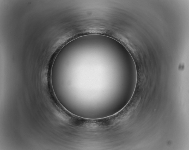 X0000102340299200808011147