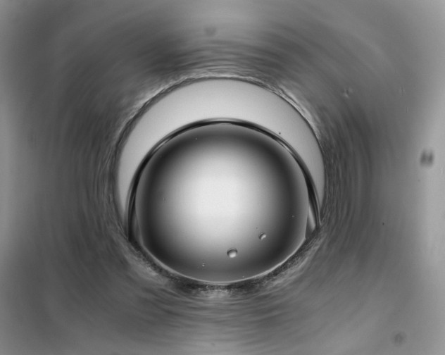 X0000102340301200808011147