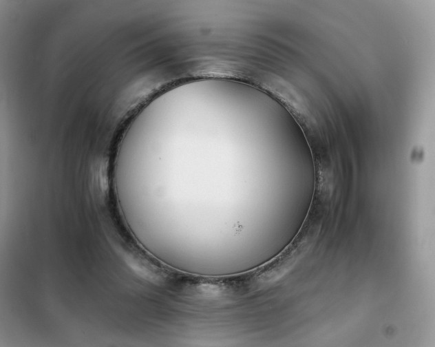 X0000102340302200808011147