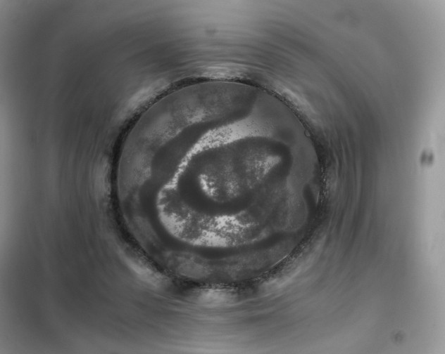 X0000102340303200808011147