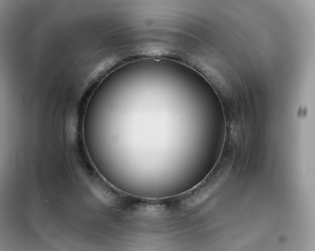 X0000102340304200808011147