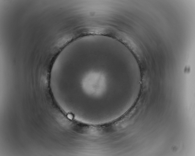 X0000102340305200808011147