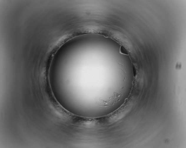 X0000102340306200808011147