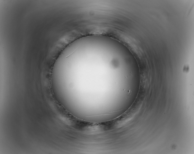 X0000102340307200808011147