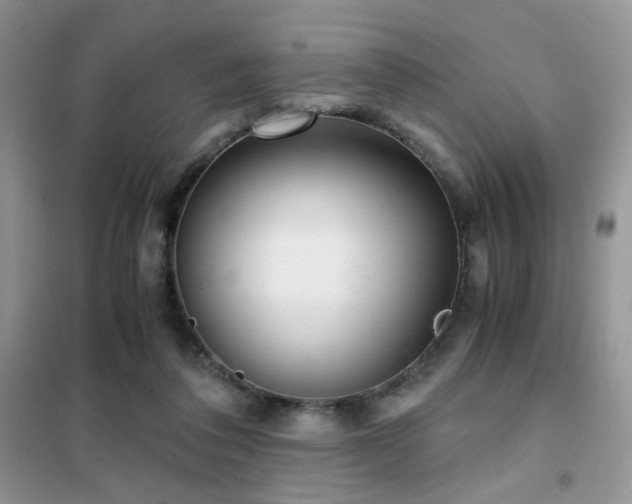 X0000102340308200808011147