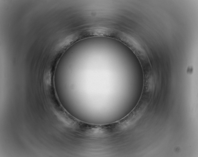 X0000102340310200808011147