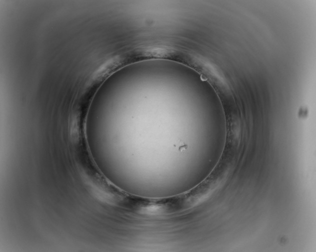 X0000102340312200808011147