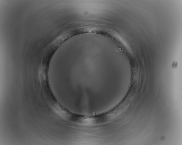 X0000102340313200808011147