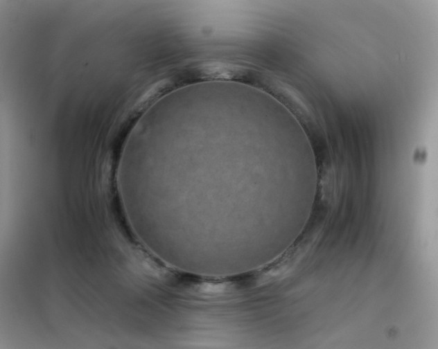 X0000102340314200808011147