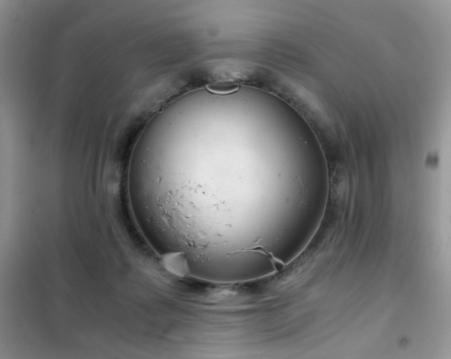 X0000102340315200808011147