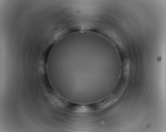 X0000102340316200808011147