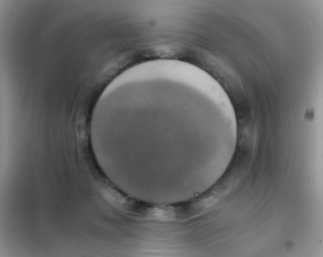 X0000102340317200808011147