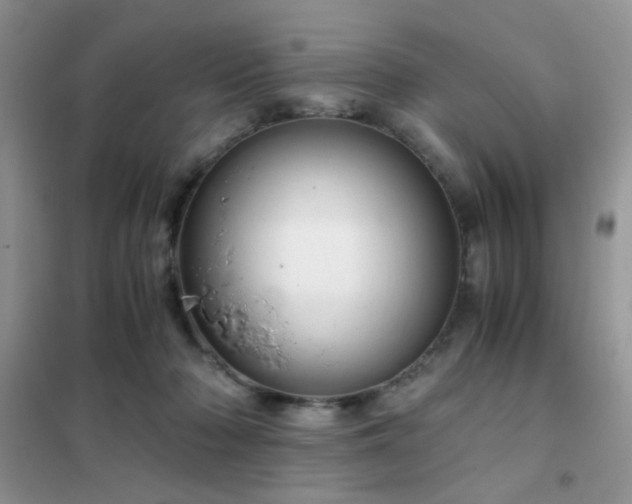 X0000102340318200808011147