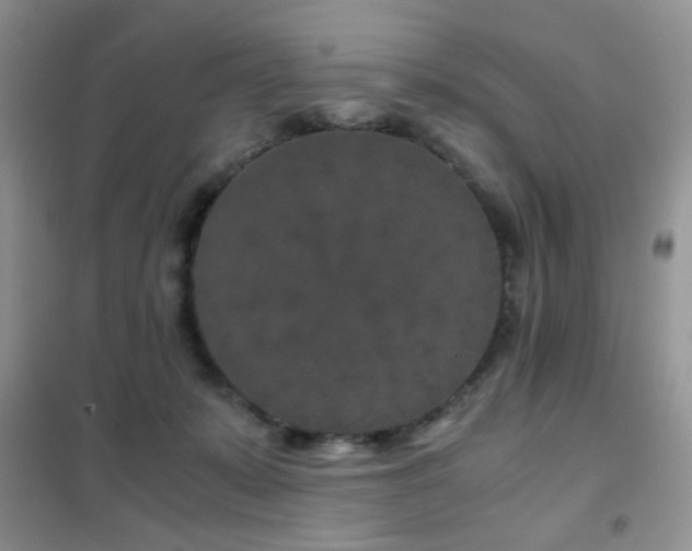 X0000102340319200808011147